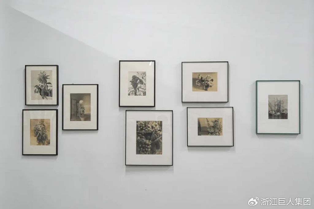 博覽相機(jī)文化 致敬科技匠心——南潯巨人照相機(jī)博物館開幕